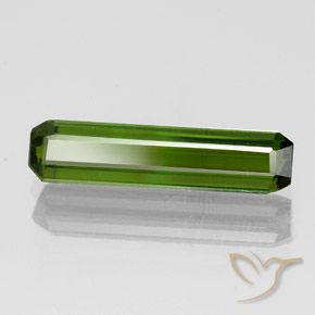 Tourmaline Vert foncé naturelle Octogone / coupe Émeraude, 1.45 ct, VVS-VS