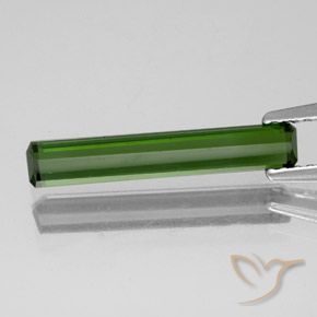 Tourmaline Vert foncé naturelle Octogone / coupe Émeraude, 1.37 ct, VVS-VS