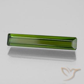 Tourmaline Vert foncé naturelle Octogone / coupe Émeraude, 1.47 ct, VVS-VS
