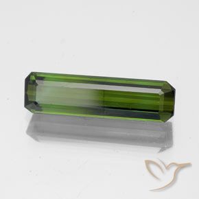 Tourmaline Vert foncé naturelle Octogone / coupe Émeraude, 1.71 ct, SI
