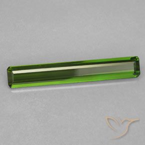 Tourmaline Forêt verte naturelle Octogone / coupe Émeraude, 1.69 ct, VVS-VS