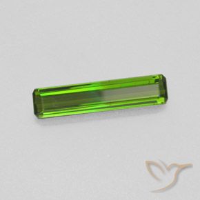 Tourmaline Vert moyen naturelle Octogone / coupe Émeraude, 1.22 ct, VS