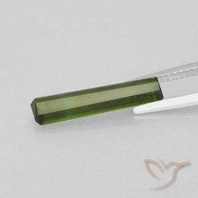 Tourmaline Vert moyen naturelle Octogone / coupe Émeraude, 1.81 ct, VVS