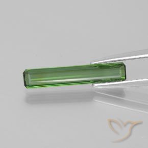 1.15ct Naturel Vert moyen Tourmaline, Taille émeraude, VVS-VS