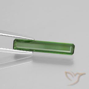 Tourmaline Vert moyen naturelle Octogone / coupe Émeraude, 1.15 ct, VVS-VS