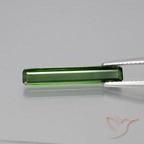 1.67ct Naturel Vert foncé Tourmaline, Taille émeraude, VVS-VS
