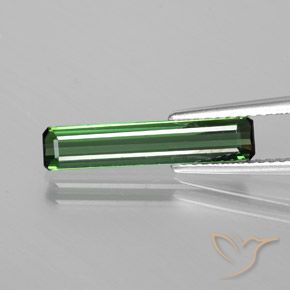1.50ct Naturel Vert forêt frais Tourmaline, Taille émeraude, VS
