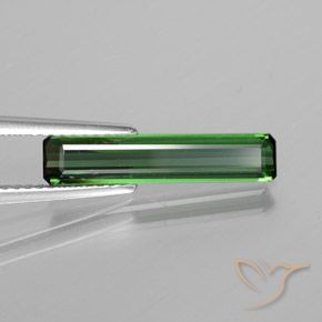 Tourmaline Vert forêt frais naturelle Octogone / coupe Émeraude, 1.50 ct, VS