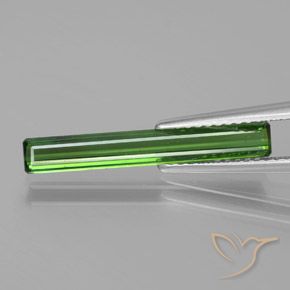 1.53ct Naturel Forêt verte Tourmaline, Taille émeraude, VS