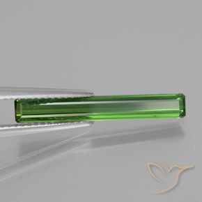 Tourmaline Forêt verte naturelle Octogone / coupe Émeraude, 1.53 ct, VS