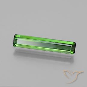 Tourmaline Vert moyen naturelle Octogone / coupe Émeraude, 1.42 ct, VS