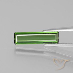 1.43ct Naturel Vert moyen Tourmaline, Taille émeraude, VS