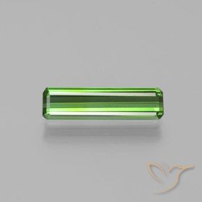 1.24ct Naturel Vert moyen Tourmaline, Taille émeraude, VS