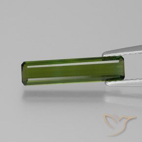 1.24ct Naturel Vert foncé Tourmaline, Taille émeraude, VVS