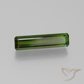Tourmaline Vert terreux naturelle Octogone / coupe Émeraude, 1.80 ct, VVS