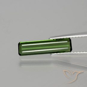 1.15ct Naturel Forêt verte Tourmaline, Taille émeraude, VS
