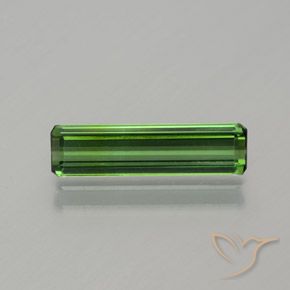 1.17ct Naturel Forêt verte Tourmaline, Taille émeraude, VS