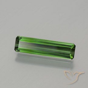 Tourmaline Forêt verte naturelle Octogone / coupe Émeraude, 1.17 ct, VS