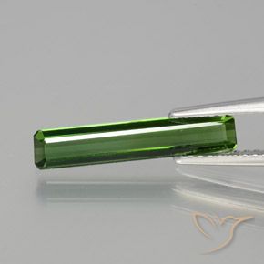 1.45ct Naturel Vert foncé Tourmaline, Taille émeraude, VVS-VS