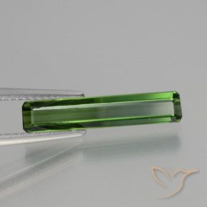 Tourmaline Vert foncé naturelle Octogone / coupe Émeraude, 1.45 ct, VVS-VS