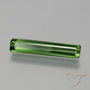 Tourmaline Forêt verte naturelle Octogone / coupe Émeraude, 1.35 ct, VVS-VS