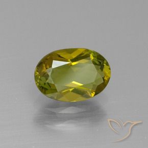 Tourmaline vert jaunâtre naturelle coupe ovale, 1,10 ct, VS