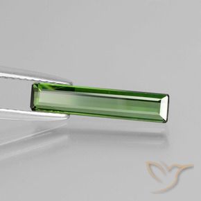 Tourmaline Vert moyen naturelle Octogone / coupe Émeraude, 1.13 ct, VS