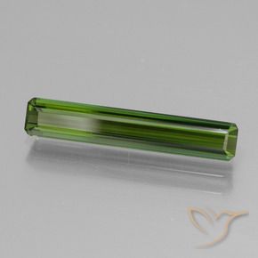 Tourmaline Vert terreux naturelle Octogone / coupe Émeraude, 1.44 ct, VVS