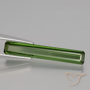 Tourmaline Forêt verte naturelle Octogone / coupe Émeraude, 1.47 ct, VS