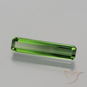 Tourmaline Vert terreux naturelle Octogone / coupe Émeraude, 1.04 ct, VVS-VS