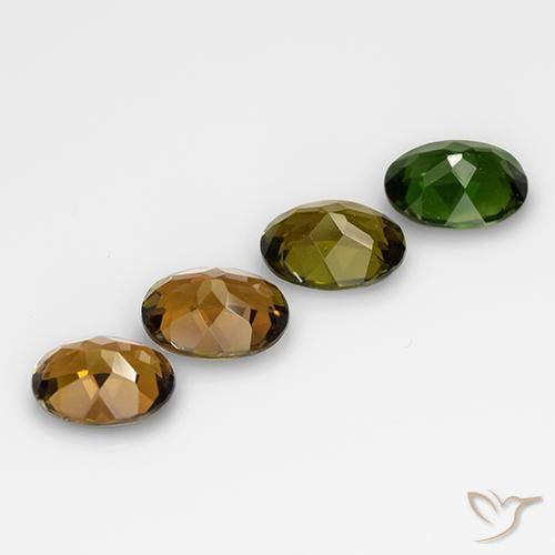Shop natural 2.74ct Multicolore Tourmaline gems, ovale, from Mozambique at GemSelect. In stock, global shipping!