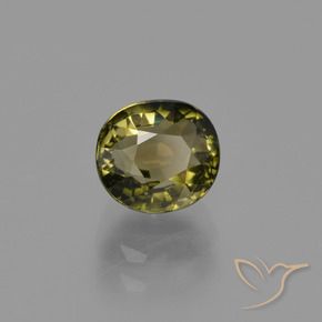 Tourmaline Vert forêt chaud naturelle Coupe ovale, 1.12 ct, VS