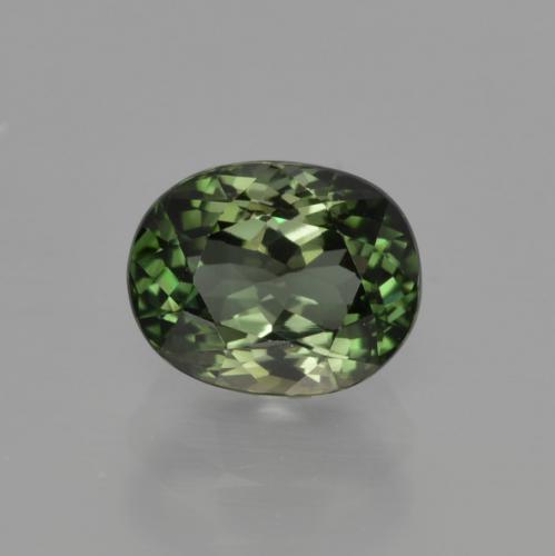 Tourmaline vert brunâtre naturelle coupe ovale, 1,29 ct, VVS