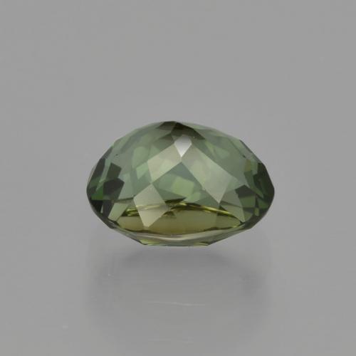 Tourmaline vert brunâtre naturelle coupe ovale, 1,29 ct, VVS