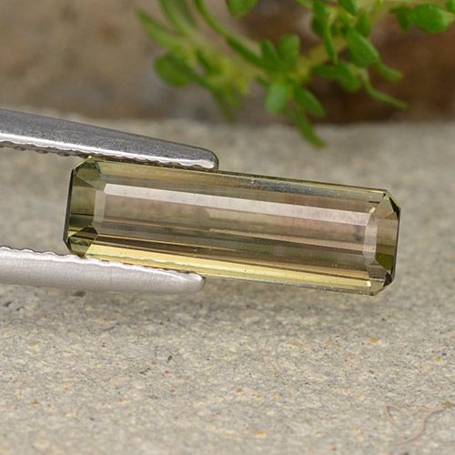 Tourmaline bicolore naturelle taille émeraude, 1,72 ct, VS
