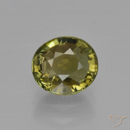 1.34ct Naturel Vert chaud et terreux Tourmaline, ovale, VVS