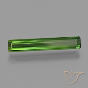 Tourmaline Forêt verte naturelle Octogone / coupe Émeraude, 1.52 ct, VVS-VS