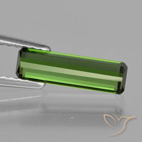 Tourmaline Vert moyen naturelle Octogone / coupe Émeraude, 1.12 ct, VVS-VS