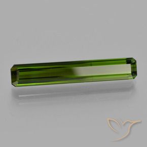 Tourmaline Vert forêt profond naturelle Octogone / coupe Émeraude, 3.24 ct, VS