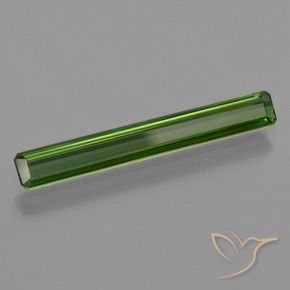 Tourmaline Vert forêt profond naturelle Octogone / coupe Émeraude, 1.32 ct, VVS-VS