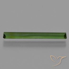 Tourmaline Vert forêt profond naturelle Octogone / coupe Émeraude, 1.32 ct, VVS-VS