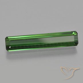 Tourmaline Vert naturelle Octogone / coupe Émeraude, 1.57 ct, VVS-VS