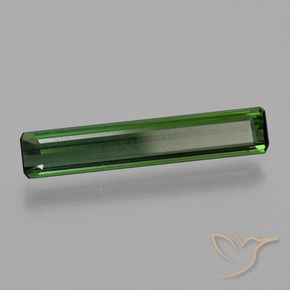 Tourmaline Vert moyen naturelle Octogone / coupe Émeraude, 1.43 ct, VVS-VS