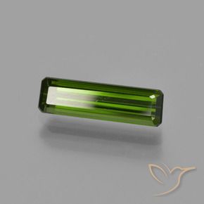 Tourmaline Forêt verte naturelle Octogone / coupe Émeraude, 1.10 ct, VS
