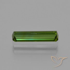 Tourmaline Vert terreux naturelle Octogone / coupe Émeraude, 0.99 ct, VVS-VS