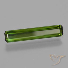 Tourmaline Forêt verte naturelle Octogone / coupe Émeraude, 1.23 ct, VS