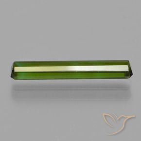 Tourmaline Forêt verte naturelle Octogone / coupe Émeraude, 1.23 ct, VS
