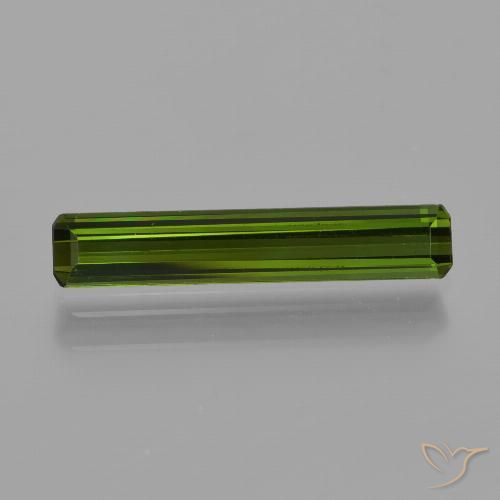 1.25ct Naturel Forêt verte Tourmaline, Taille émeraude, VS