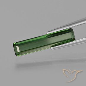 Tourmaline Forêt verte naturelle Octogone / coupe Émeraude, 1.24 ct, VS
