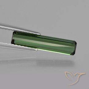 Tourmaline Forêt verte naturelle Octogone / coupe Émeraude, 1.24 ct, VS